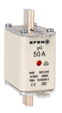 NH-SI 00 50A GG AC500V AK
