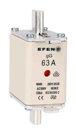 NH-SI 00 63A GG AC500V AK