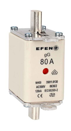 NH-SI 00 80A GG AC500V AK