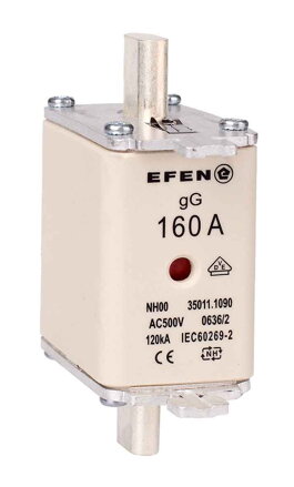 NH-SI 00 160A GG AC500V AK