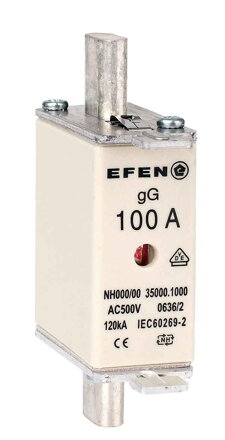 NH-SI 000 100A GG AC500V AK
