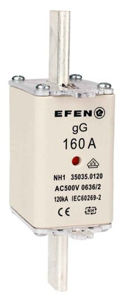 NH-SI 1/160A GG AC500V AK