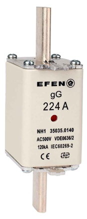 NH-SI 1 224A GG AC500V AK