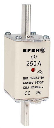 NH-SI 1 250A GG AC500V AK