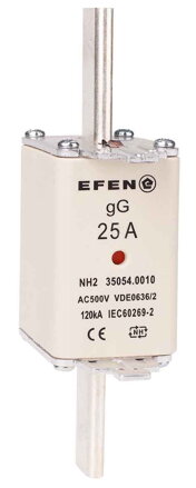 NH-SI 2/25A GG AC500V AK