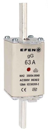 NH-SI 2/63A GG AC500V AK