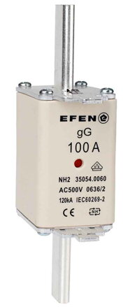 NH-SI 2/100A GG AC500V AK