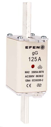 NH-SI 2/125A GG AC500V AK