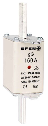 NH-SI 2/160A GG AC500V AK