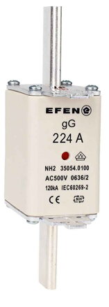 NH-SI 2/224A GG AC500V AK