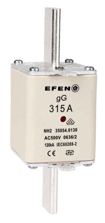 NH-SI 2 315A GG AC500V AK