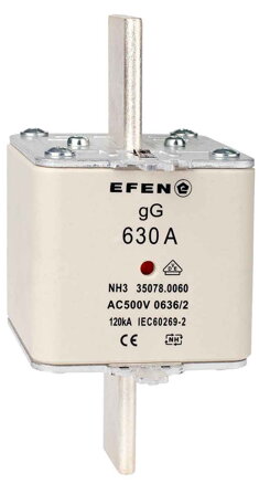 NH-SI 3 630A GG AC500V AK