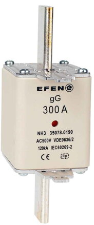 NH-SI 3/300A GG AC500V AK