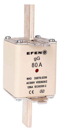 NH-SI 3/80A GG AC500V AK