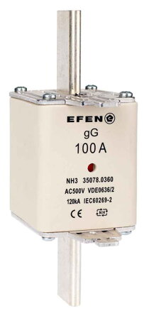 NH-SI 3/100A GG AC500V AK