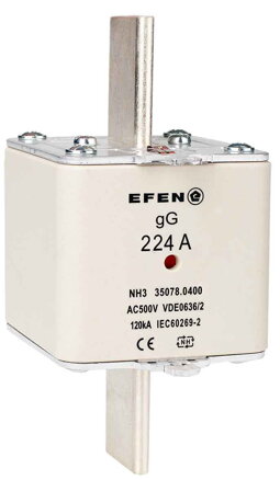 NH-SI 3/224A GG AC500V AK