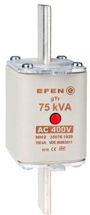 NH-SI 2 75KVA GTR AC400V MA
