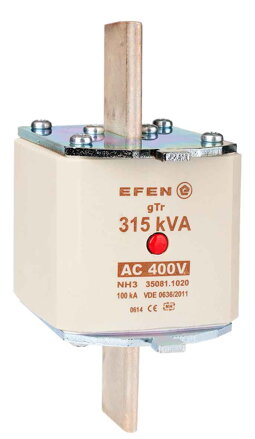 NH-SI 3 315KVA GTR AC400V MA