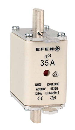 NH-SI 00 35A GG AC500V AK