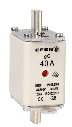 NH-SI 00 40A GG AC500V AK
