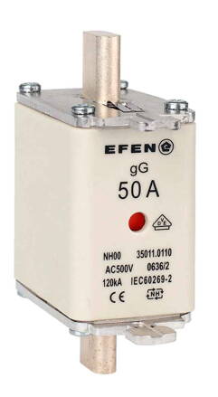 NH-SI 00 50A GG AC500V AK