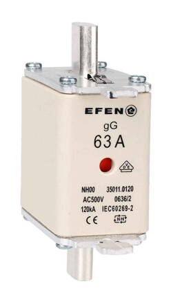 NH-SI 00 63A GG AC500V AK