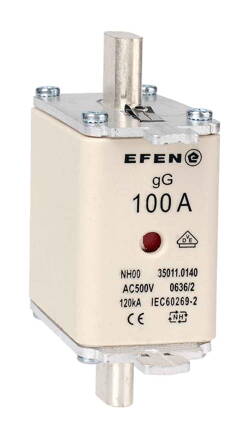 NH-SI 00 100A GG AC500V AK