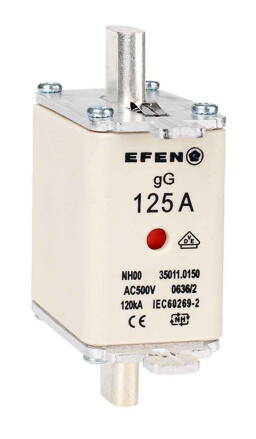 NH-SI 00 125A GG AC500V AK