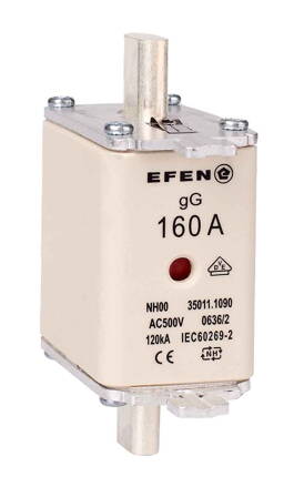 NH-SI 00 160A GG AC500V AK