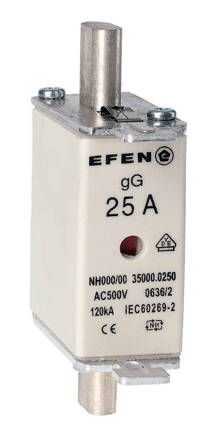 NH-SI 000 25A GG AC500V AK