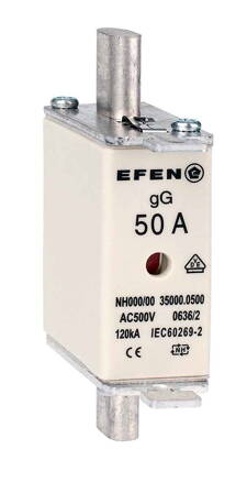 NH-SI 000 50A GG AC500V AK