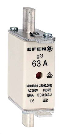 NH-SI 000 63A GG AC500V AK