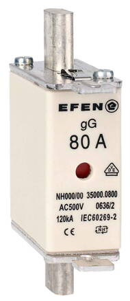 NH-SI 000 80A GG AC500V AK