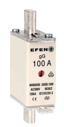 NH-SI 000 100A GG AC500V AK