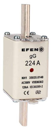 NH-SI 1 224A GG AC500V AK