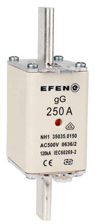 NH-SI 1 250A GG AC500V AK