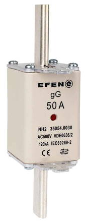 NH-SI 2/50A GG AC500V AK