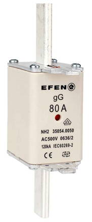 NH-SI 2/80A GG AC500V AK