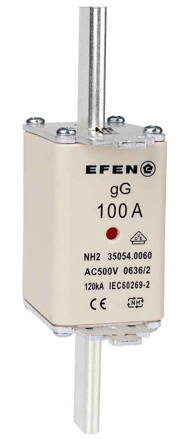 NH-SI 2/100A GG AC500V AK