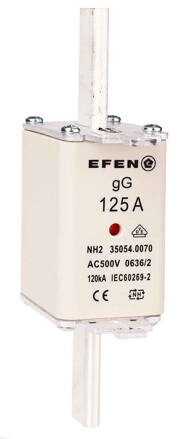 NH-SI 2/125A GG AC500V AK