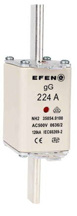 NH-SI 2/224A GG AC500V AK