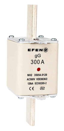 NH-SI 2 300A GG AC500V AK