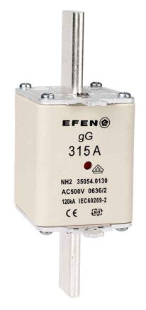 NH-SI 2 315A GG AC500V AK