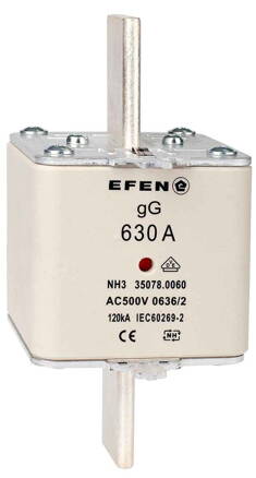 NH-SI 3 630A GG AC500V AK