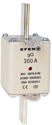 NH-SI 3/300A GG AC500V AK
