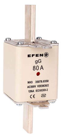 NH-SI 3/80A GG AC500V AK
