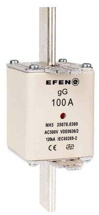 NH-SI 3/100A GG AC500V AK