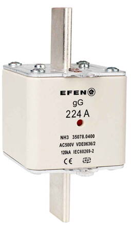NH-SI 3/224A GG AC500V AK