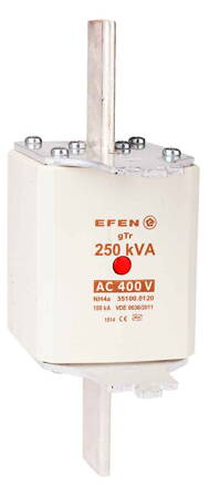 NH-SI 4A 250KVA GTR AC400V MA